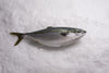 Albacore Tuna