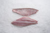 Red Snapper